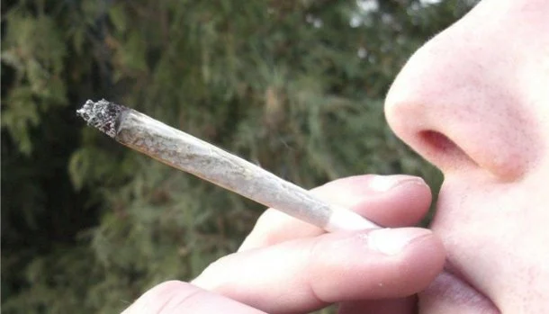 dealer-carte-fidelite-marseille-drogue