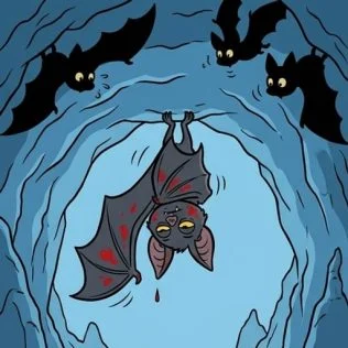 Chauve-souris vampire : la piste du sang finit mal